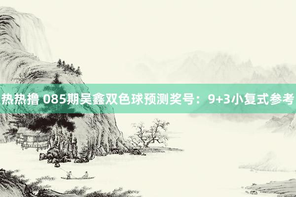 热热撸 085期吴鑫双色球预测奖号：9+3小复式参考