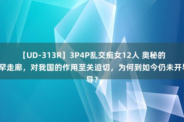 【UD-313R】3P4P乱交痴女12人 奥秘的瓦罕走廊，对我国的作用至关迫切，为何到如今仍未开导？