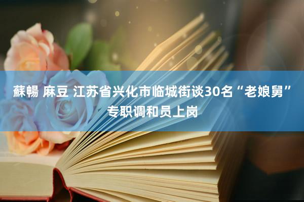 蘇暢 麻豆 江苏省兴化市临城街谈30名“老娘舅”专职调和员上岗