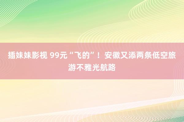 插妹妹影视 99元“飞的”！安徽又添两条低空旅游不雅光航路