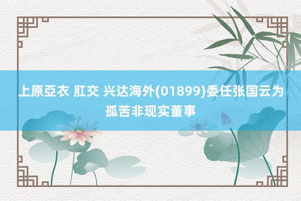 上原亞衣 肛交 兴达海外(01899)委任张国云为孤苦非现实董事