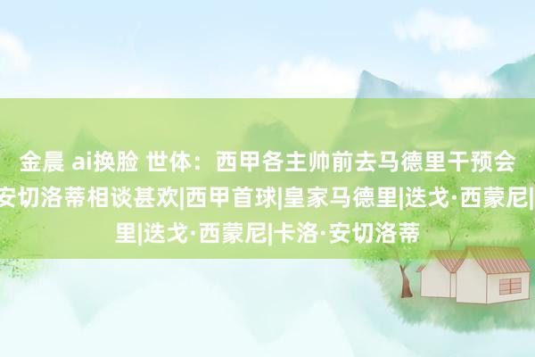 金晨 ai换脸 世体：西甲各主帅前去马德里干预会议，弗里克和安切洛蒂相谈甚欢|西甲首球|皇家马德里|迭戈·西蒙尼|卡洛·安切洛蒂