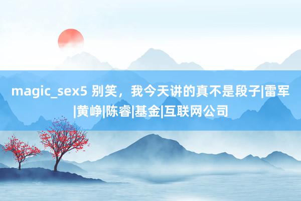 magic_sex5 别笑，我今天讲的真不是段子|雷军|黄峥|陈睿|基金|互联网公司