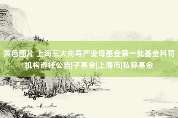 黄色图片 上海三大先导产业母基金第一批基金科罚机构遴择公告|子基金|上海市|私募基金