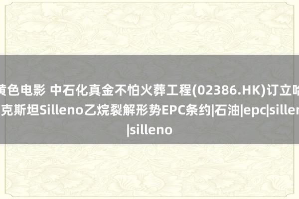 黄色电影 中石化真金不怕火葬工程(02386.HK)订立哈萨克斯坦Silleno乙烷裂解形势EPC条约|石油|epc|silleno